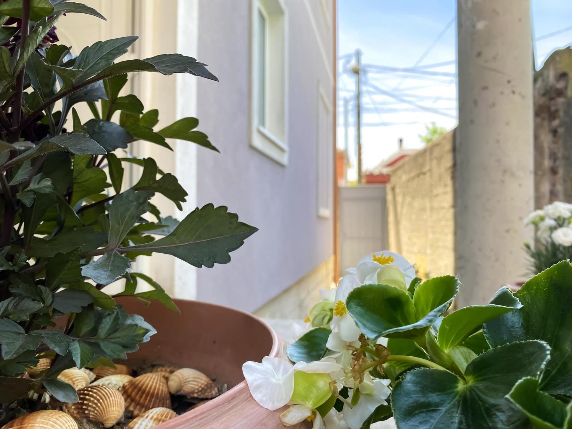 Northgate Apart-Villa Shkodër エクステリア 写真