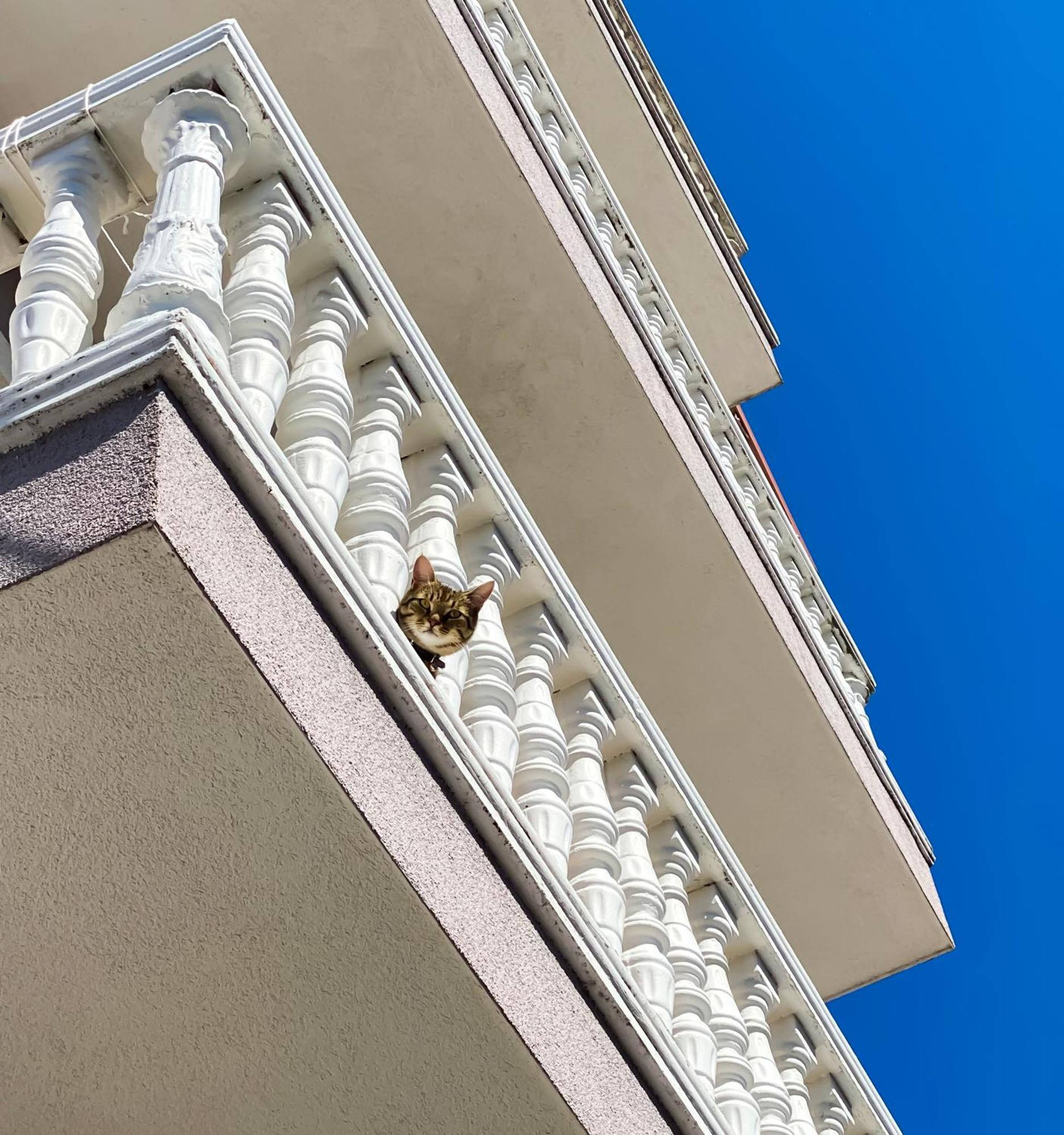 Northgate Apart-Villa Shkodër エクステリア 写真